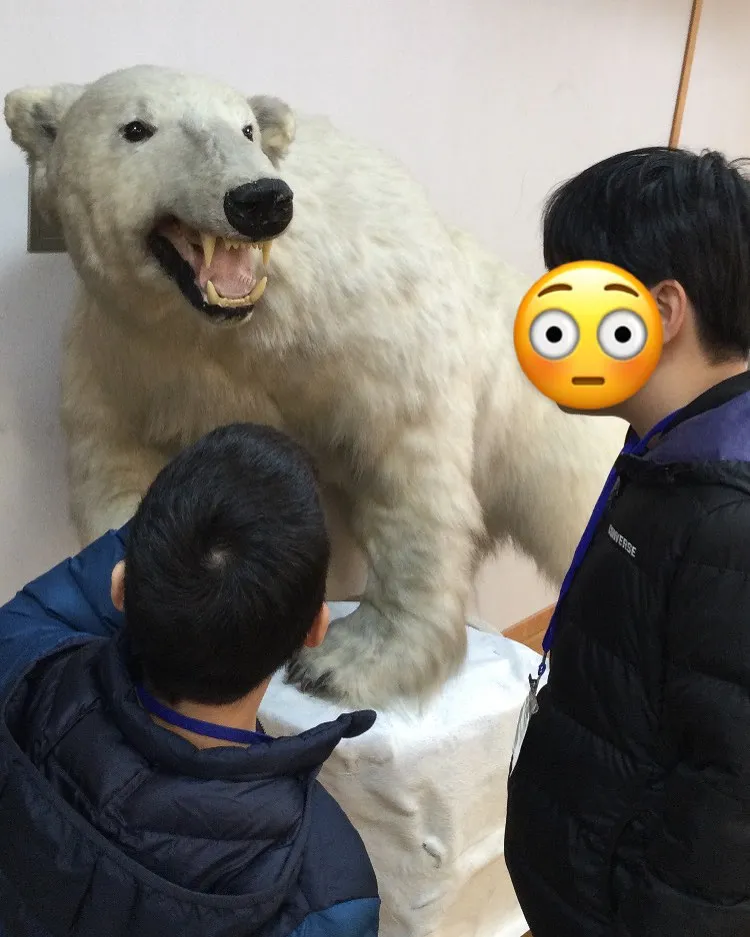 きしわだ自然資料館