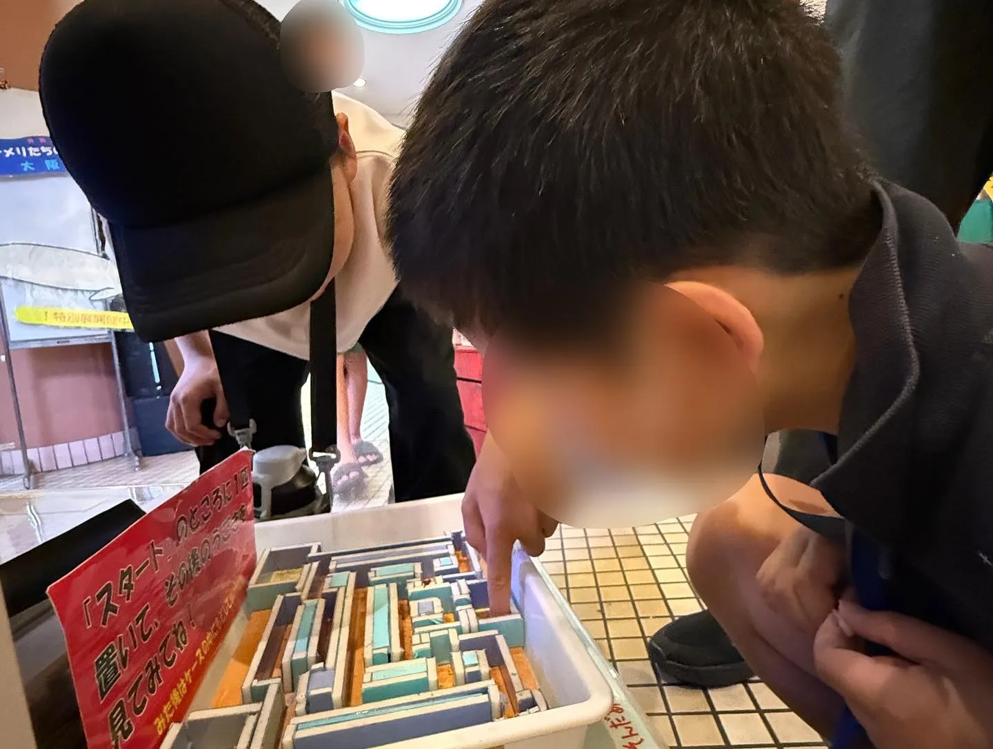 貝塚市立自然遊学館へ🚗🐠