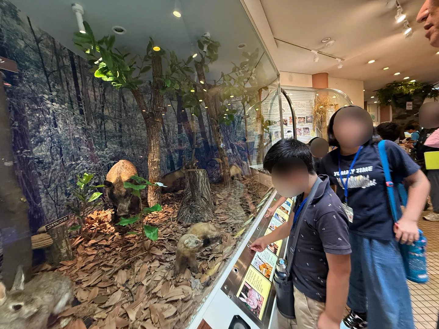 貝塚市立自然遊学館へ🚗🐠