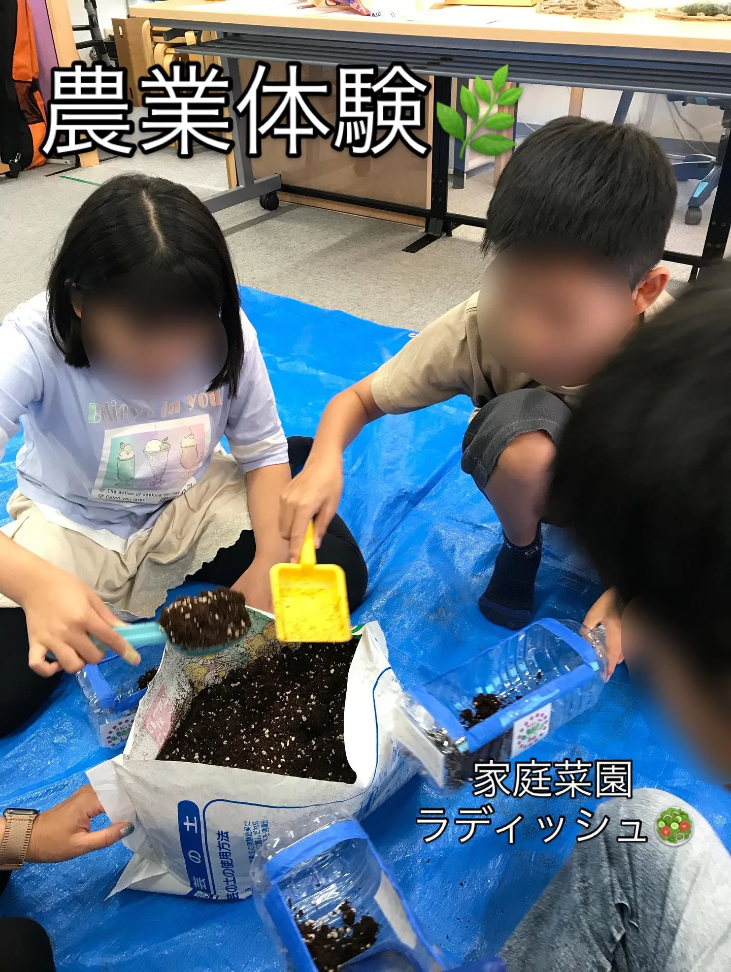 家庭菜園🪴ラディッシュ🥗