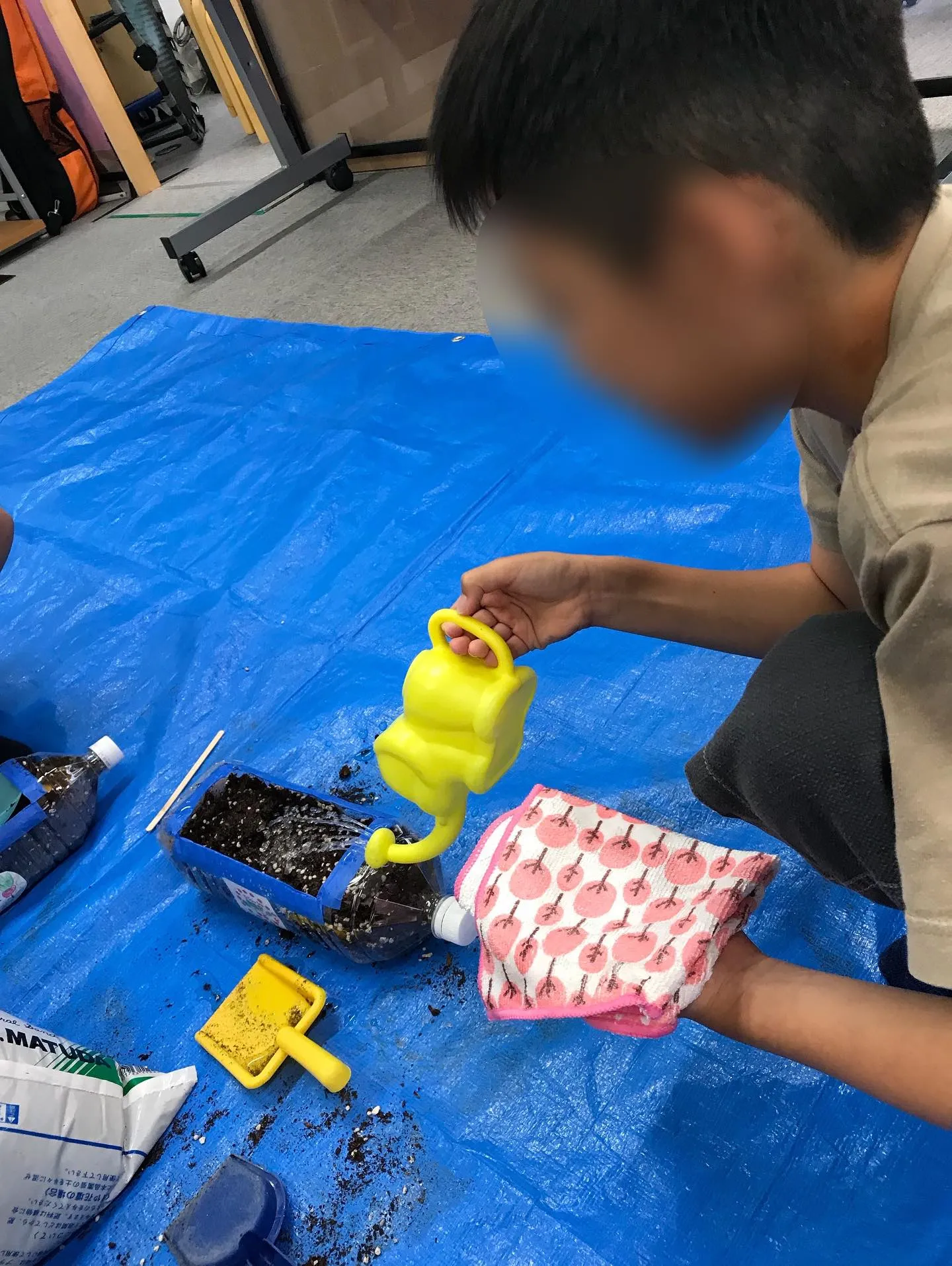 家庭菜園🪴ラディッシュ🥗