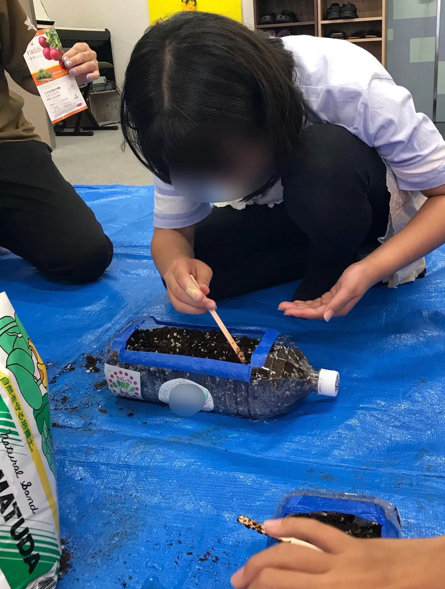 家庭菜園🪴ラディッシュ🥗