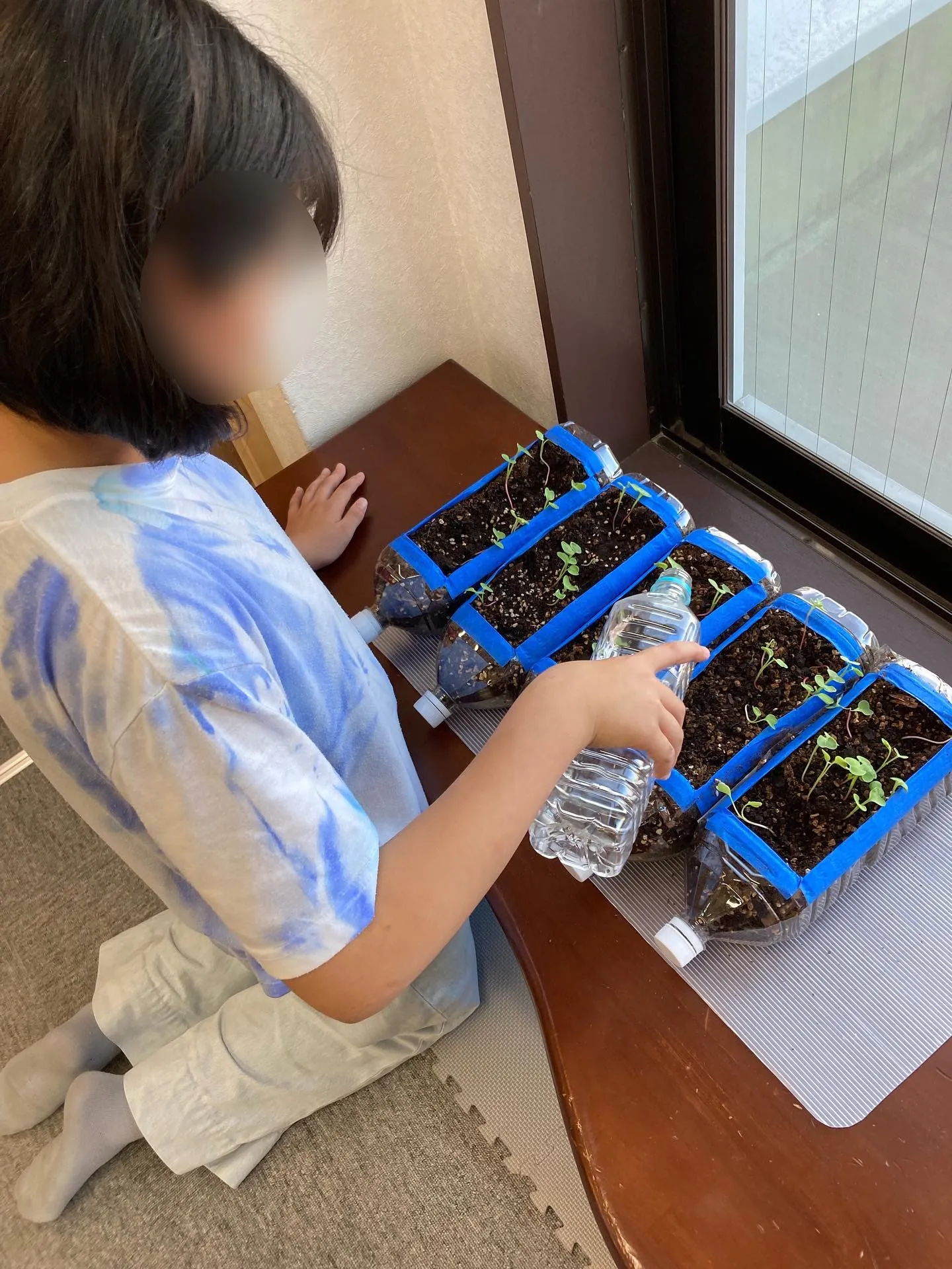 紙コップピラミッド🔺＆シールラリー🔵