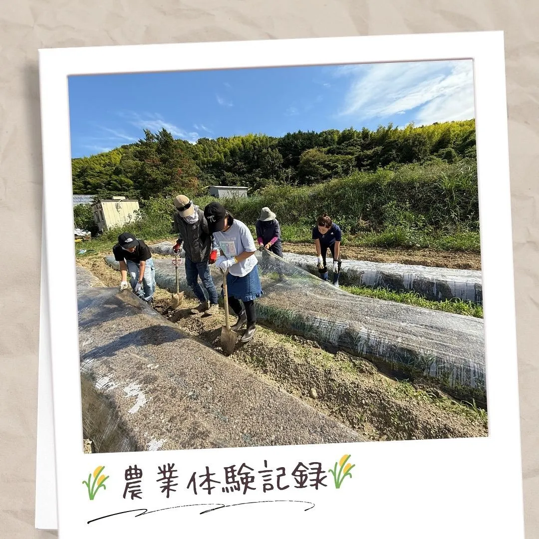 9月農業体験🌾