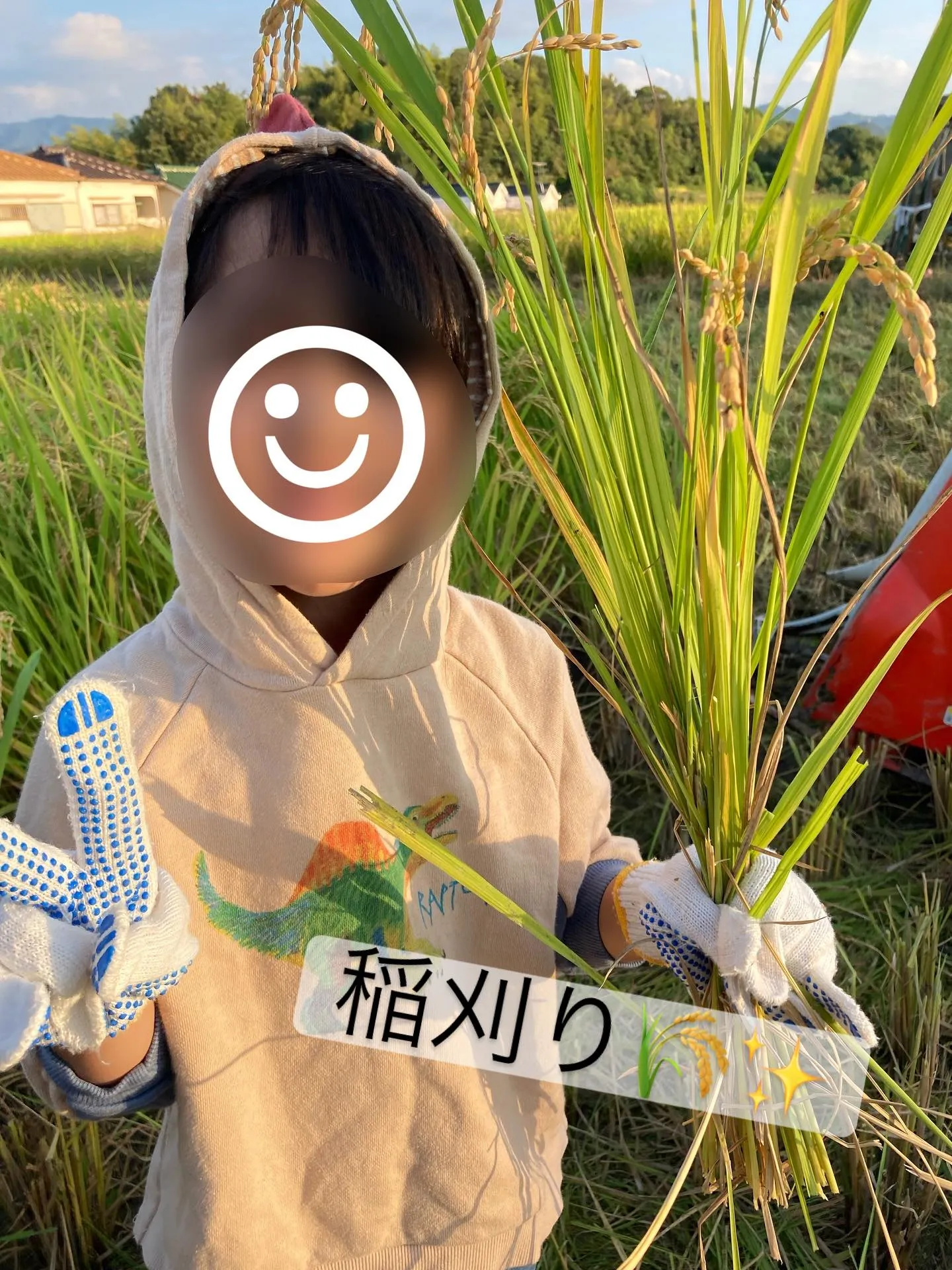 稲刈り体験🌾✨