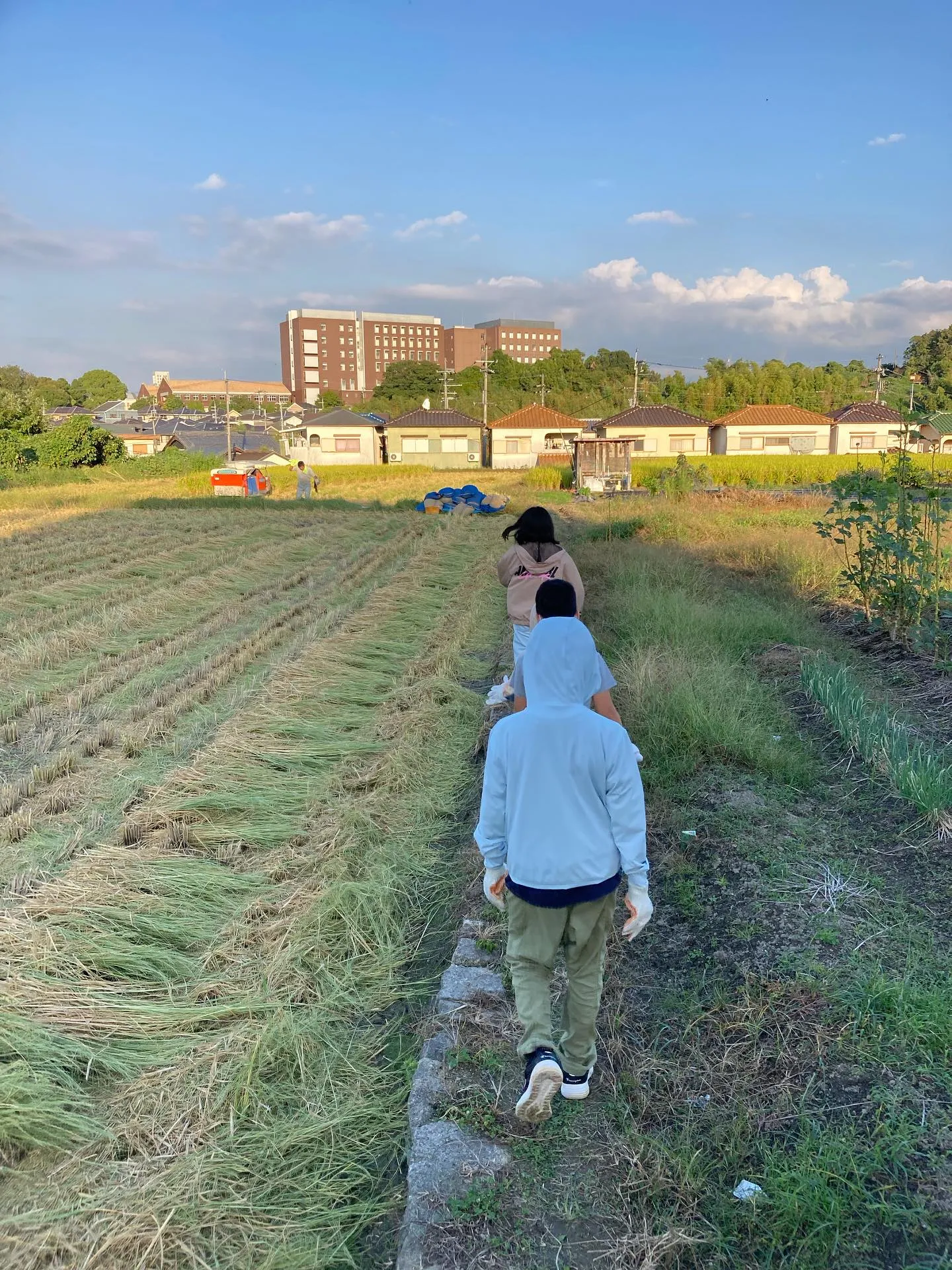 稲刈り体験🌾✨