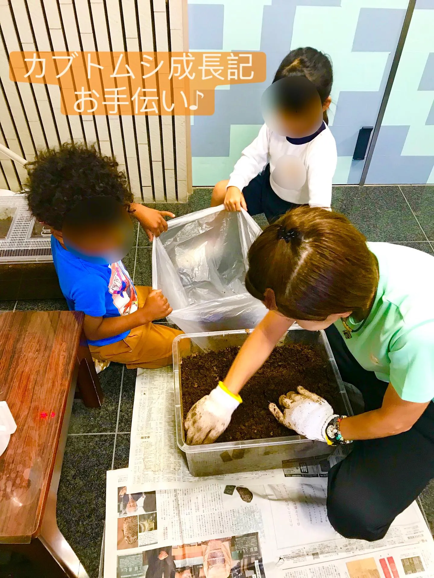 カブトムシのお世話♪