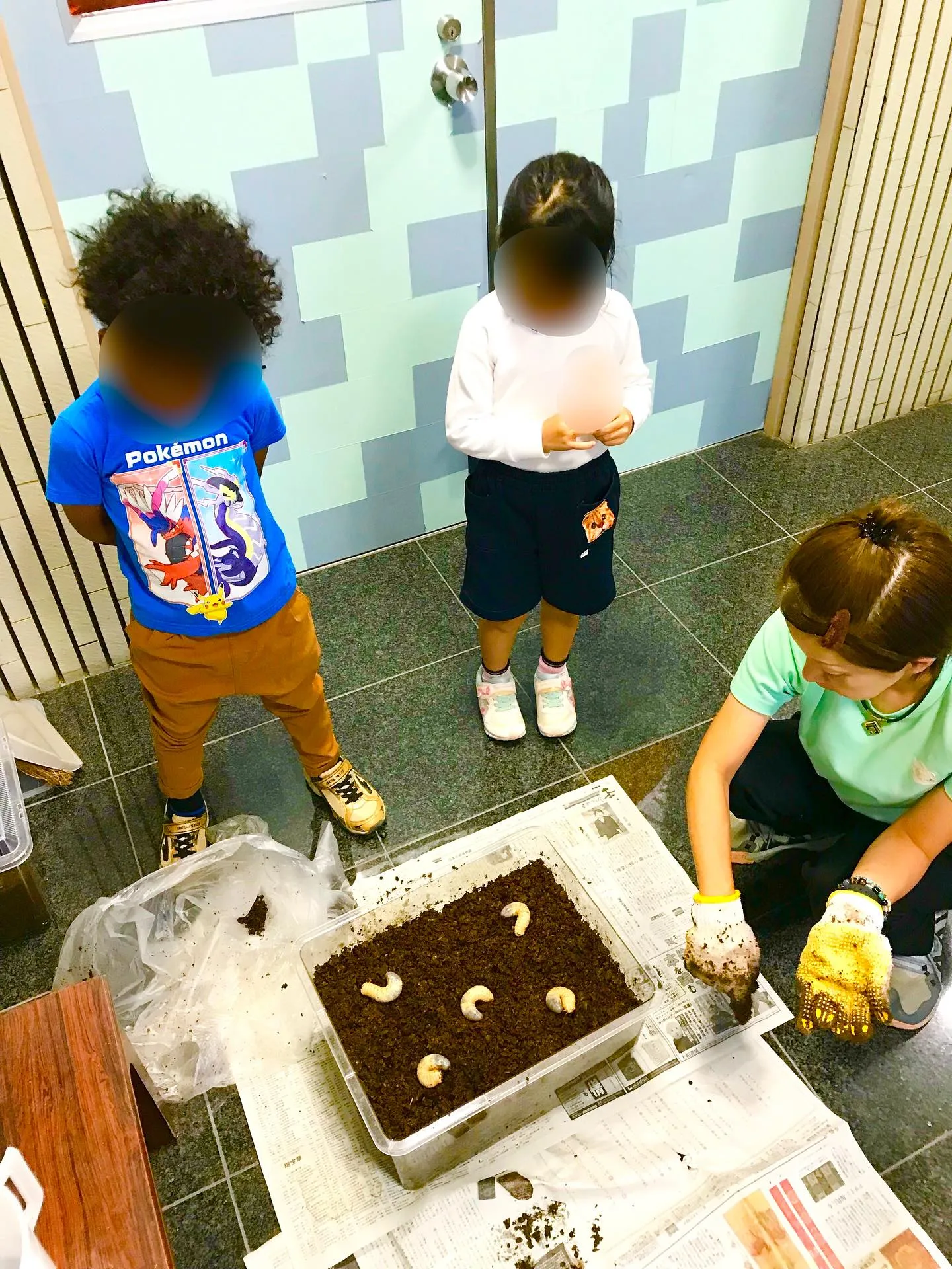 カブトムシのお世話♪