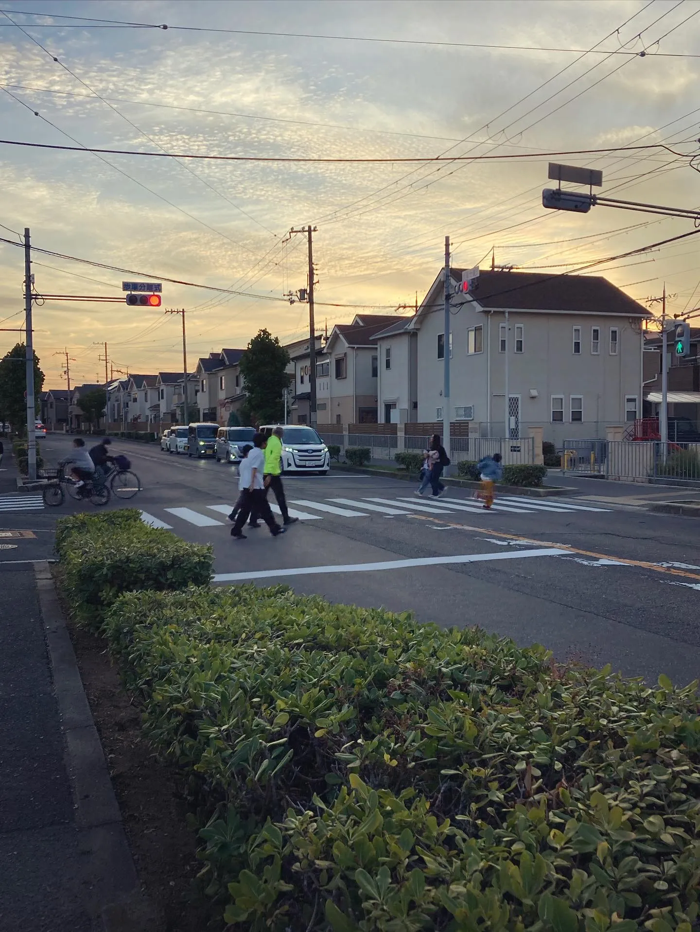 クリーンデイ🧹