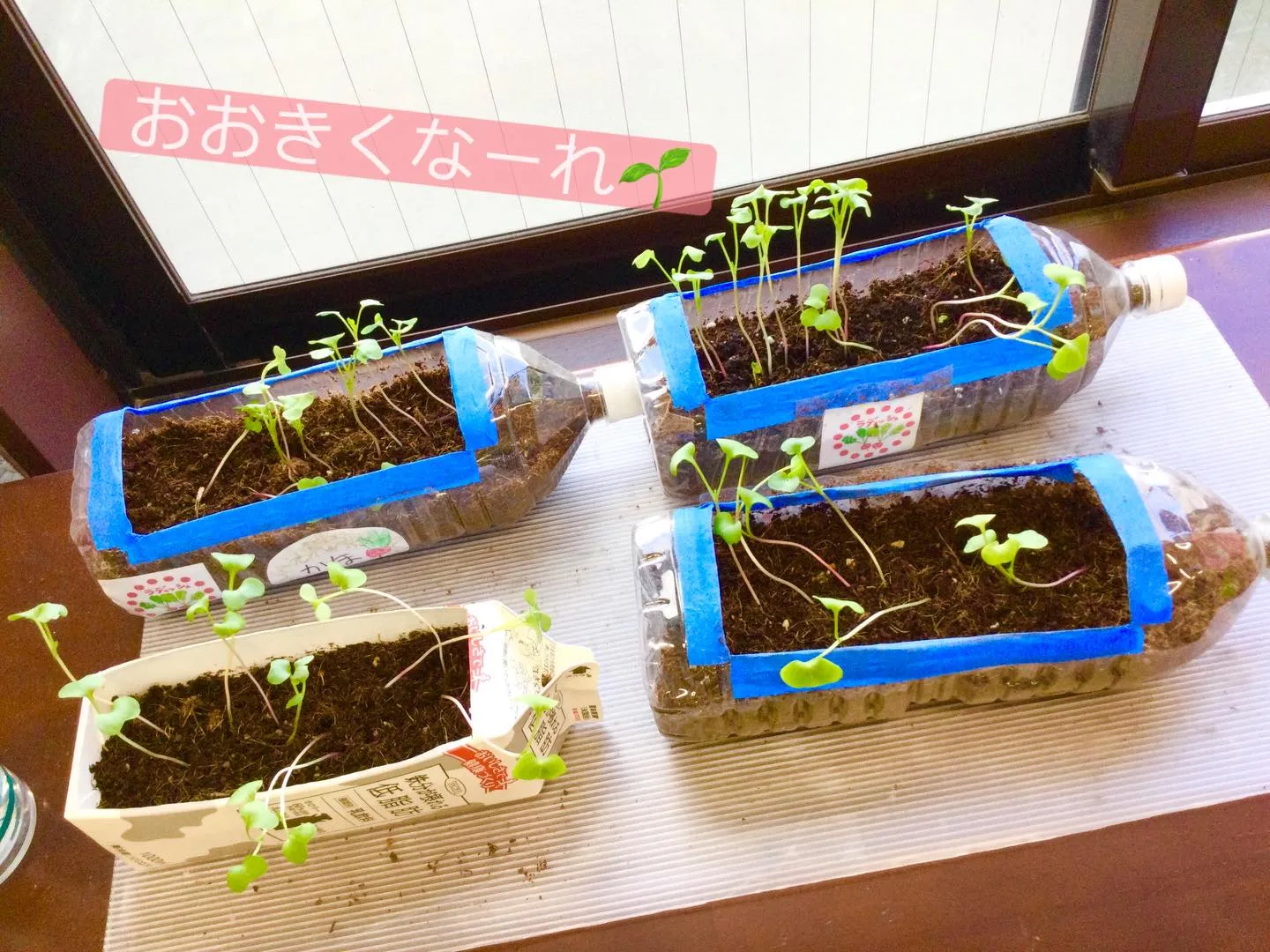 マイクラ&タイピング💻