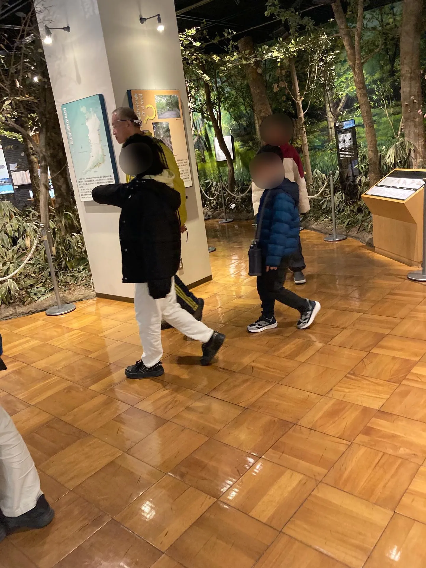 きしわだ自然資料館🌲✨