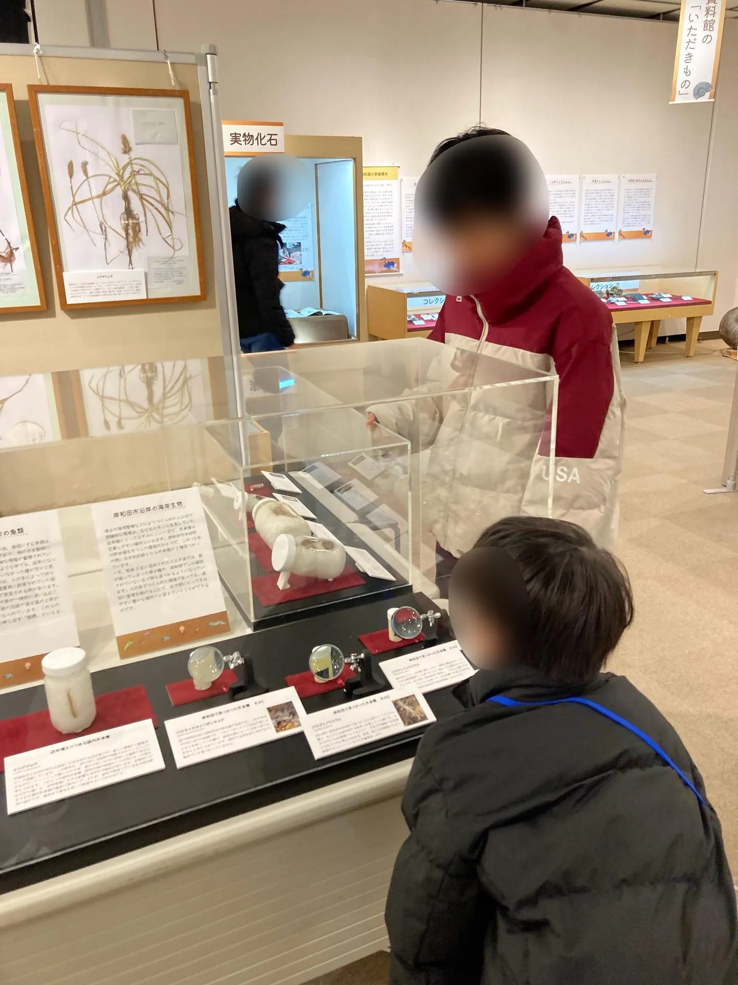 きしわだ自然資料館🌲✨