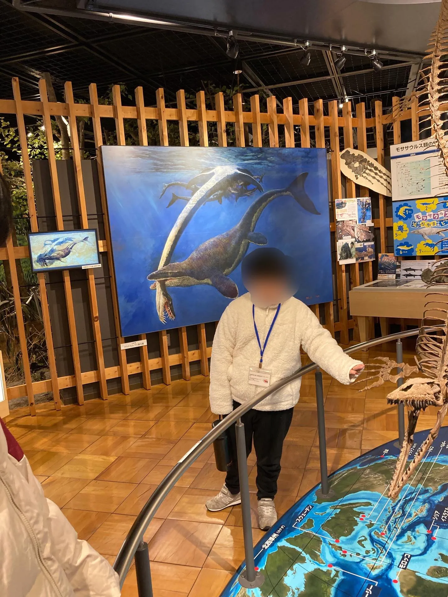 きしわだ自然資料館🌲✨