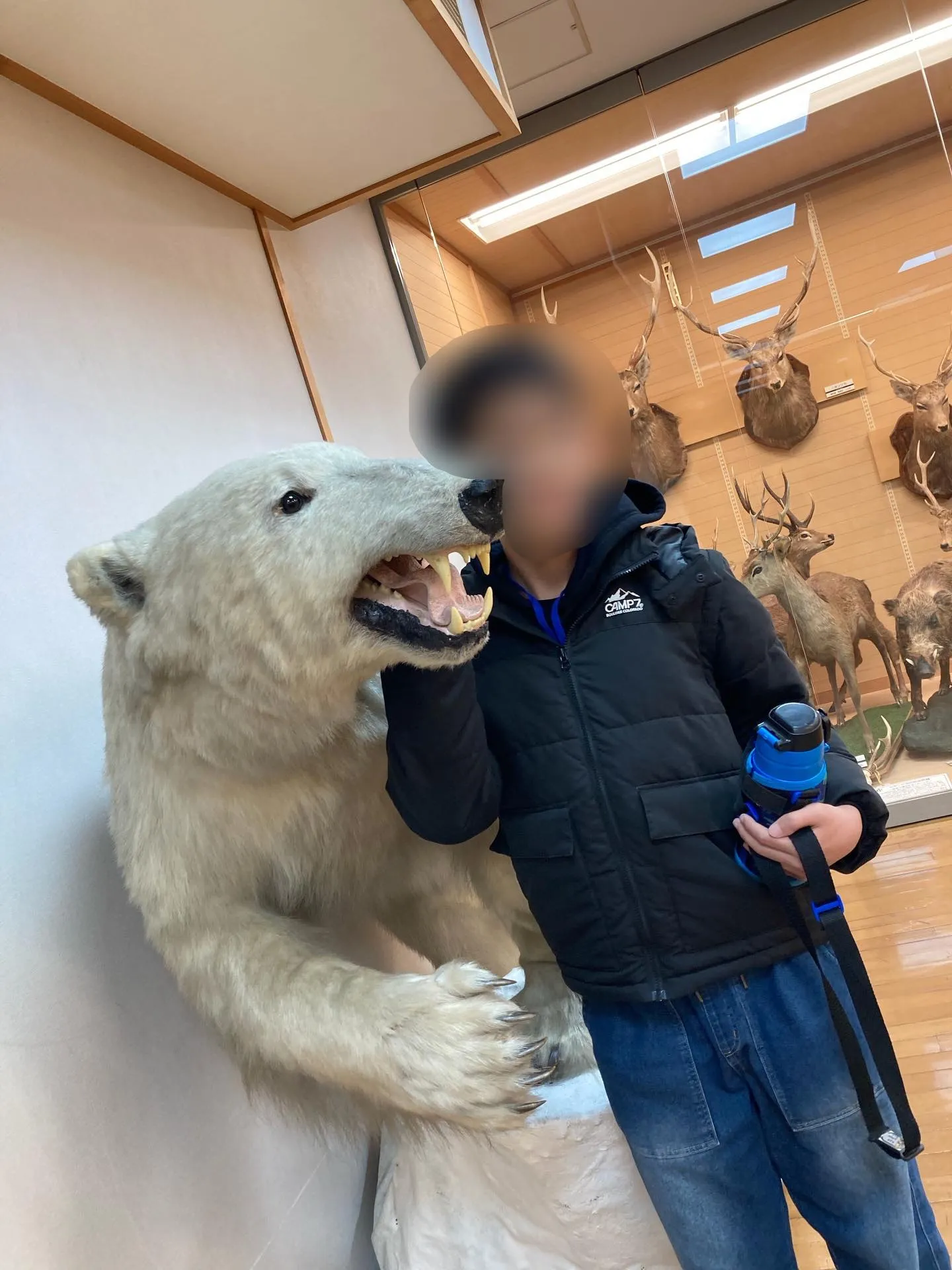 きしわだ自然資料館🌲✨