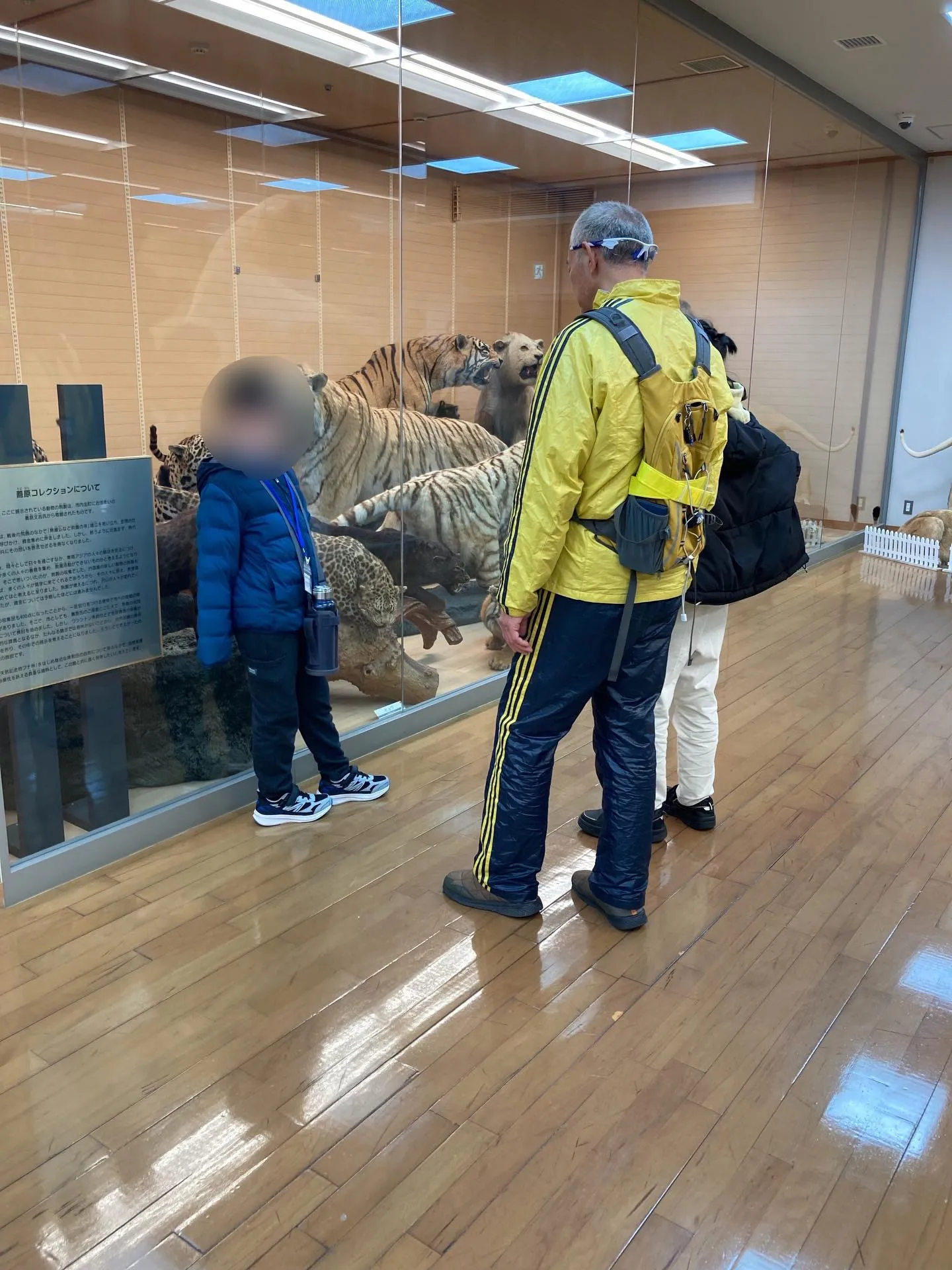 きしわだ自然資料館🌲✨