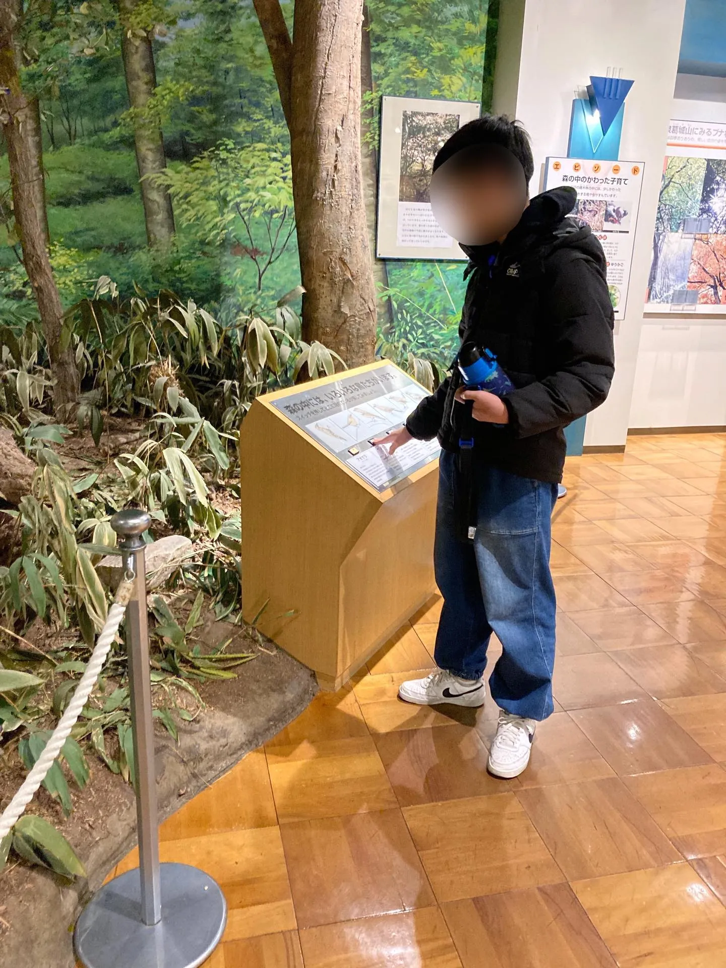 きしわだ自然資料館🌲✨