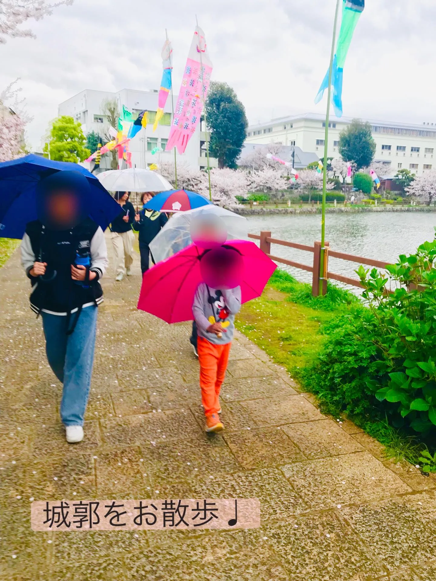 🌸お花見🌸