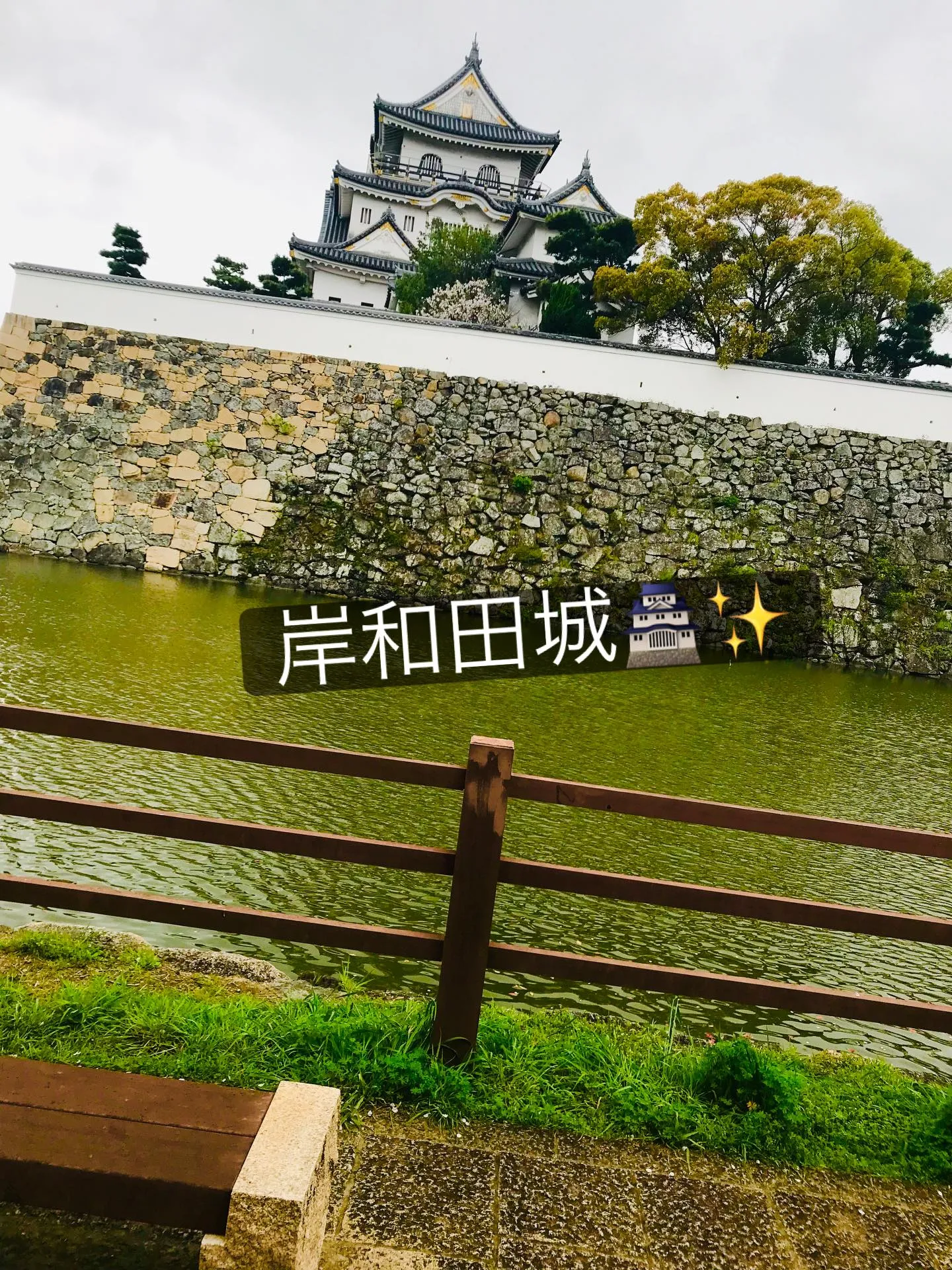 🌸お花見🌸