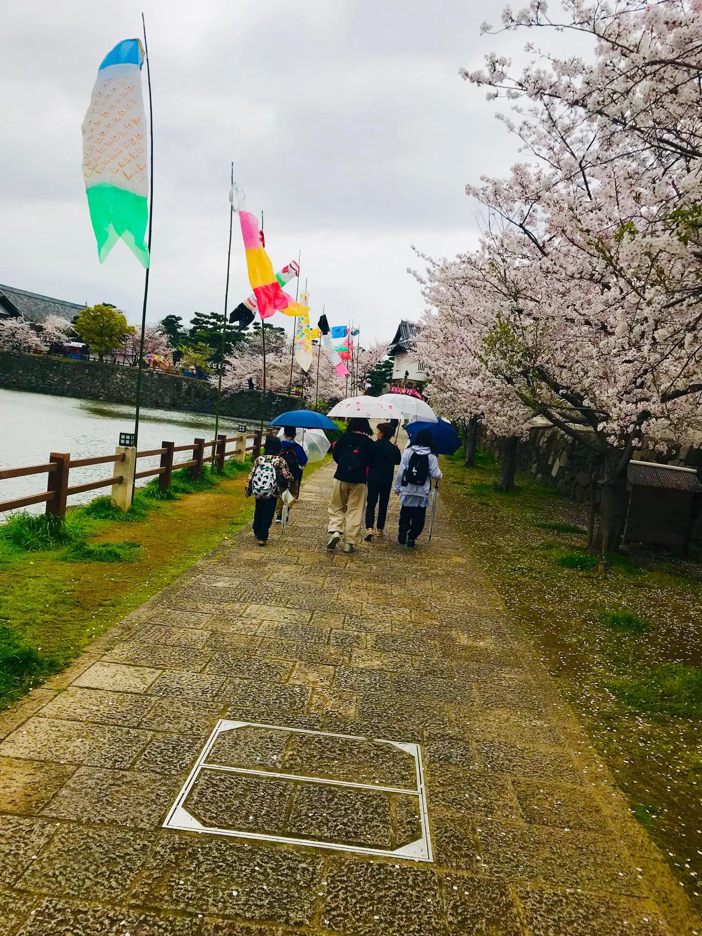 🌸お花見🌸