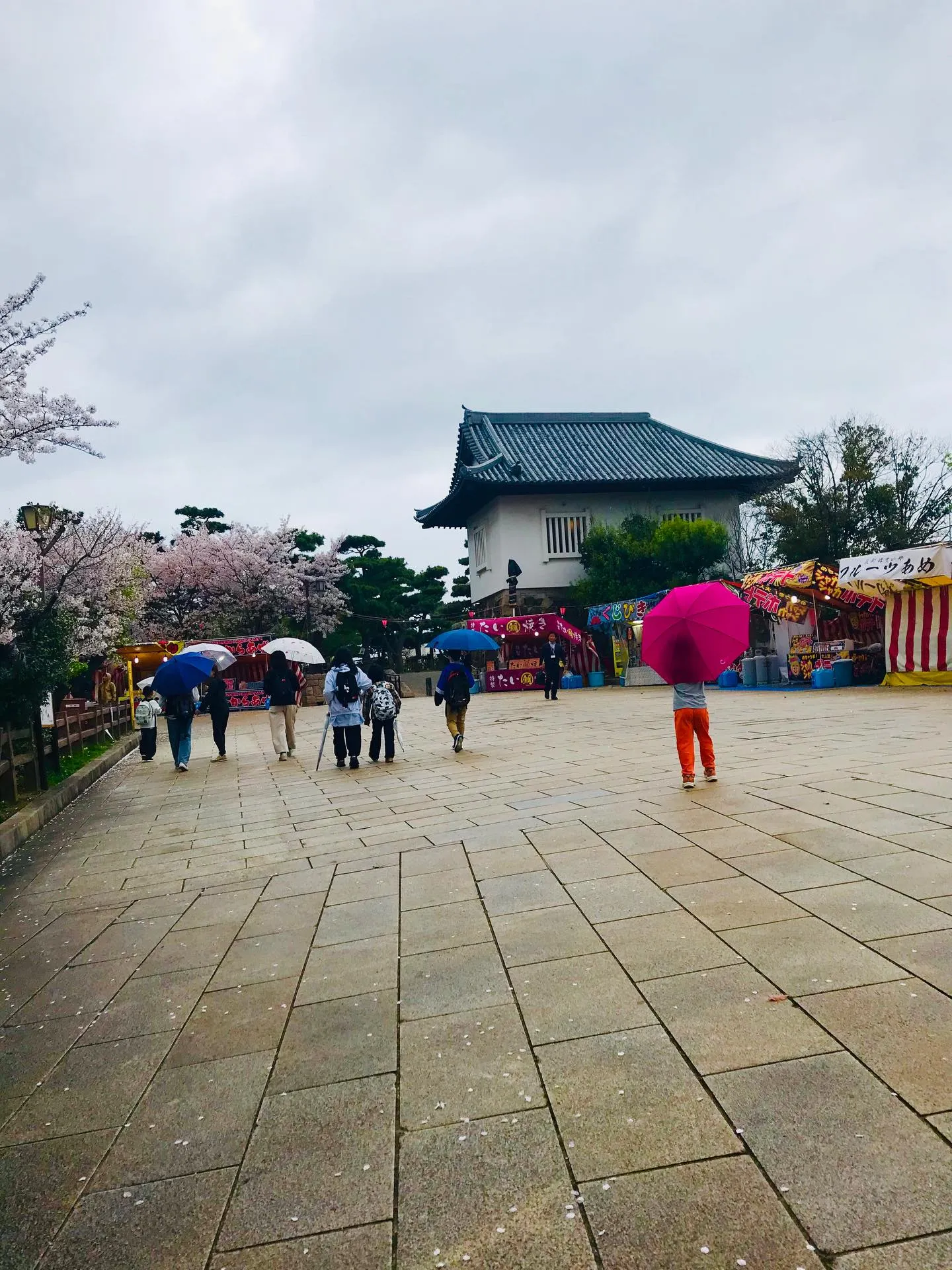 🌸お花見🌸