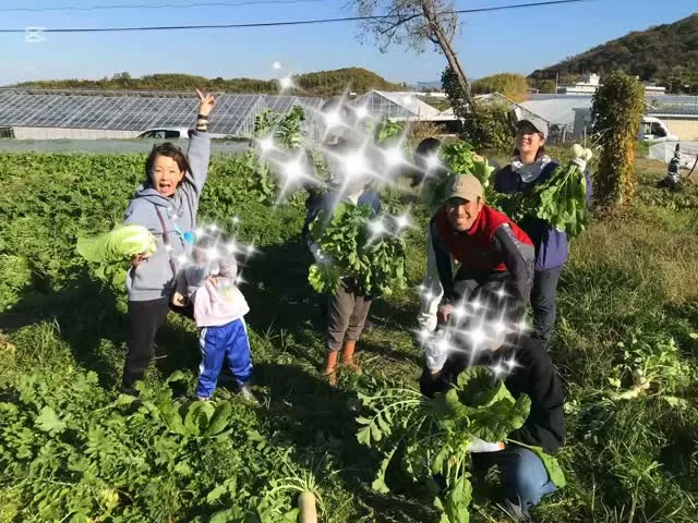 農業体験👩‍🌾smile farm Uchinoさん♩